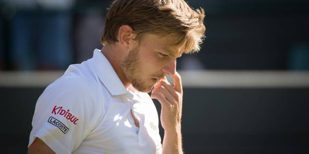 goffin pensif